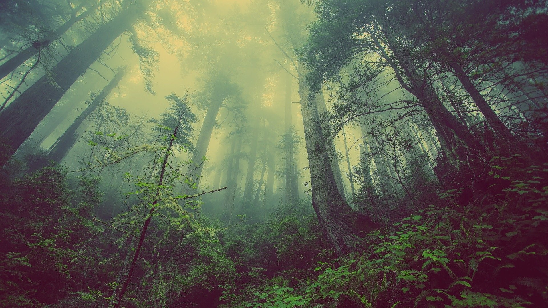 therapy yakima, astrology counseling